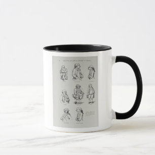 Die erzählende und kritische Geschichte von Tasse
