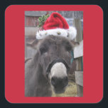 Die Esel machen große Santas!" Quadratischer Aufkleber<br><div class="desc">Ein lustiges Bild für den Eselliebhaber in deinem Leben. Die Esel machen große Santas, und mein Esel Jonathan lasse jedem mit diesem lustigen Notizbuch, um euch das ganze Jahr im Weihnachtsgeist behalten! "Donkeys Make Great Santas!" ist von meinem Originalfoto aufgenommen und steht unter meiner Kopie rechts.</div>
