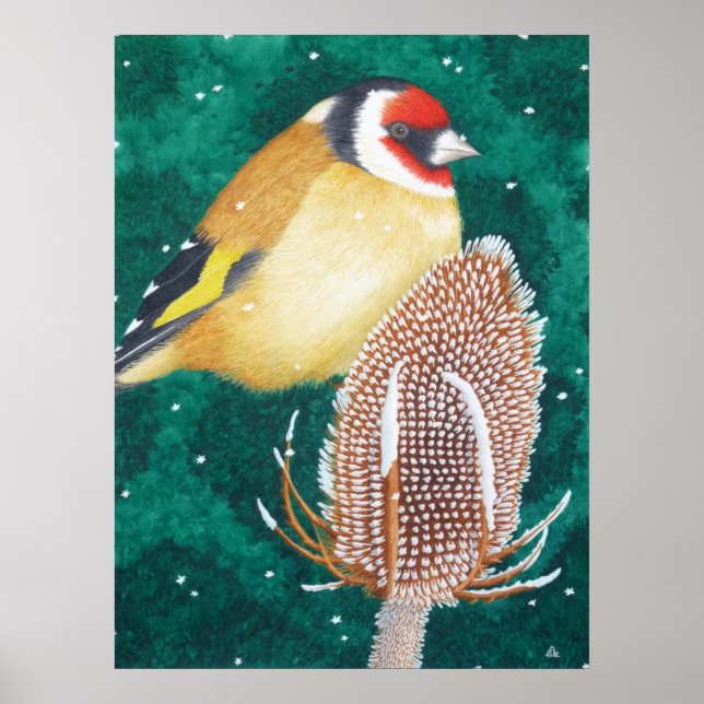 Die europäische Goldfinch Poster (Vorne)