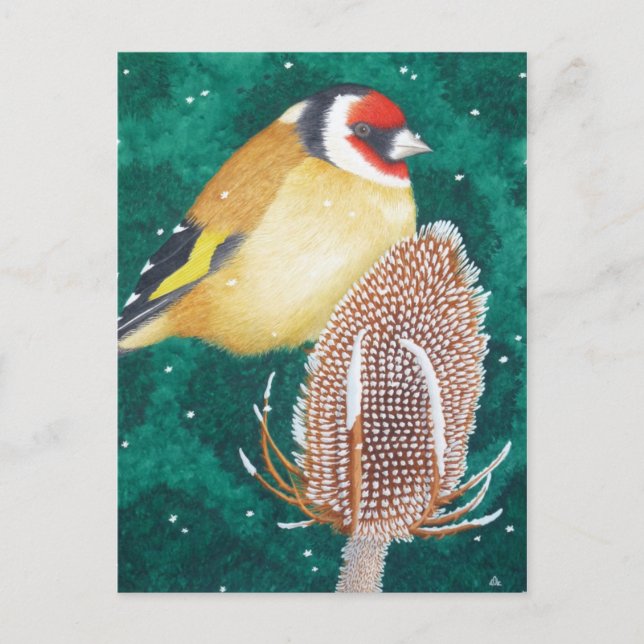 Die europäische Goldfinch Postkarte (Vorderseite)