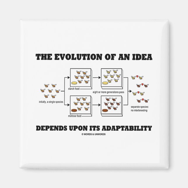 Die Evolution einer Idee hängt von der Anpassungsf Magnet (Vorne)