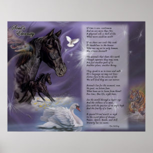 Die Ewigkeit des Souls Poster