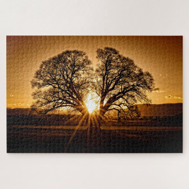 Die Explosion des Sonnenuntergangs - 20x30 - 1014 (Horizontal)