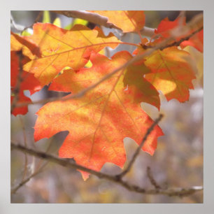 Die Farbe des Herbstplakats Poster