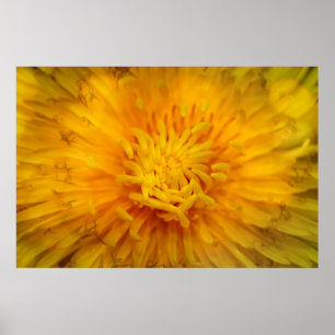 Die Farbe Gelb Poster