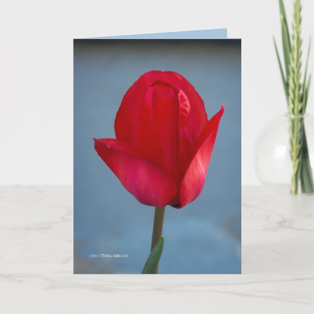 Die Farbe Rot Karte (Vorderseite)