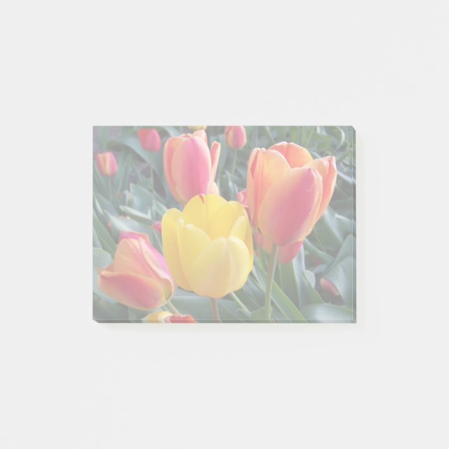 Die Farben des eigenen Fotos Post-it Klebezettel (Vorderseite)