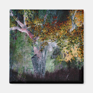 Die Farben des Herbstes.... Magnet