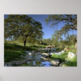 Die faszinierende Natur Poster