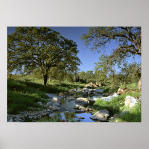 Die faszinierende Natur Poster