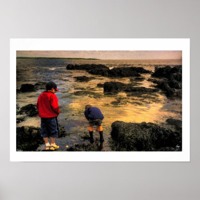 Die Feldausflugkarte Poster (Vorne)