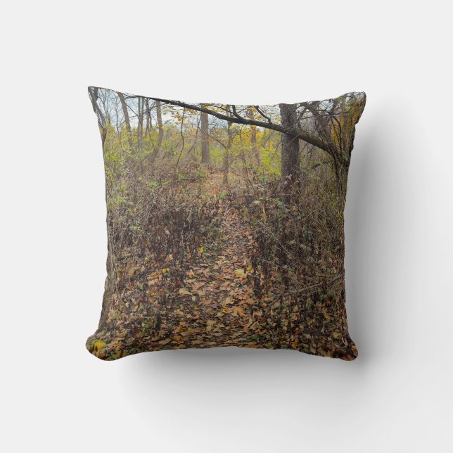 Die Felder der Murkiness Kissen (Vorderseite)