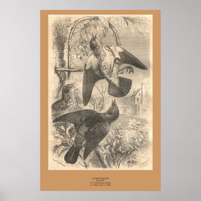 Die Feldpreise Poster (Vorne)