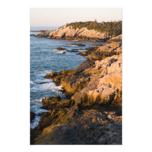 Die Felsenküste von Isle au Haut in Maine Fotodruck