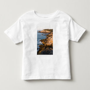 Die Felsenküste von Isle au Haut in Maine Kleinkind T-shirt