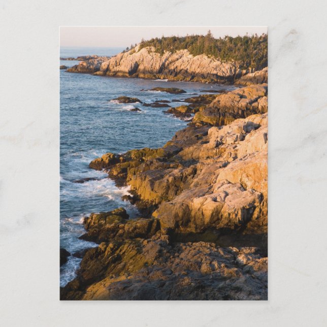 Die Felsküste von Isle au Haut in Maine Postkarte (Vorderseite)