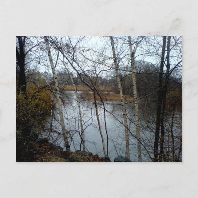 Die Fens, die Hinterbucht, Boston Postkarte (Vorderseite)