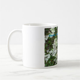Die Fernen des Glacier Nationalparks, Tasse Montan