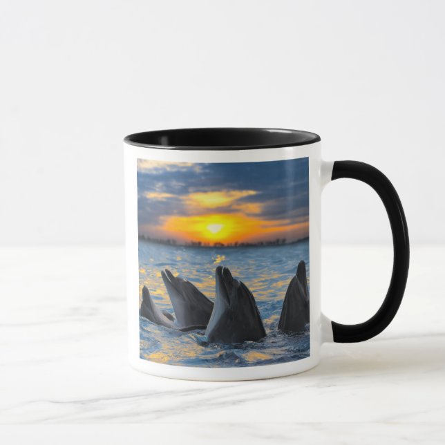 Die Flasche-gerochenen Delphine im Tasse (Rechts)