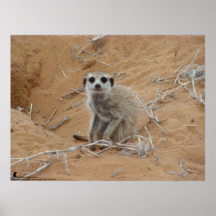 Die Fluffernutter Sammlung - lächelnd Poster