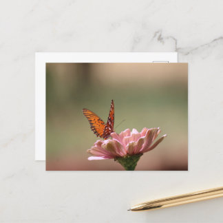 Die Flügel — Schmetterlingspostkarte Postkarte