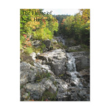 Die Flut von New Hampshire