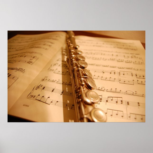 Die Flute Poster (Vorne)