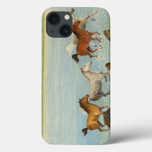 Die Freiheit 2013 Case-Mate iPhone Hülle (Rückseite)