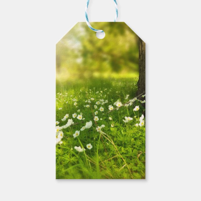 Die Freuden des Frühlings Geschenkanhänger (Vorderseite)