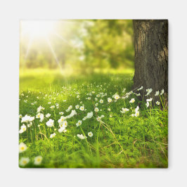 Die Freuden des Frühlings Magnet