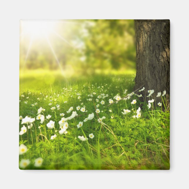 Die Freuden des Frühlings Magnet (Vorne)