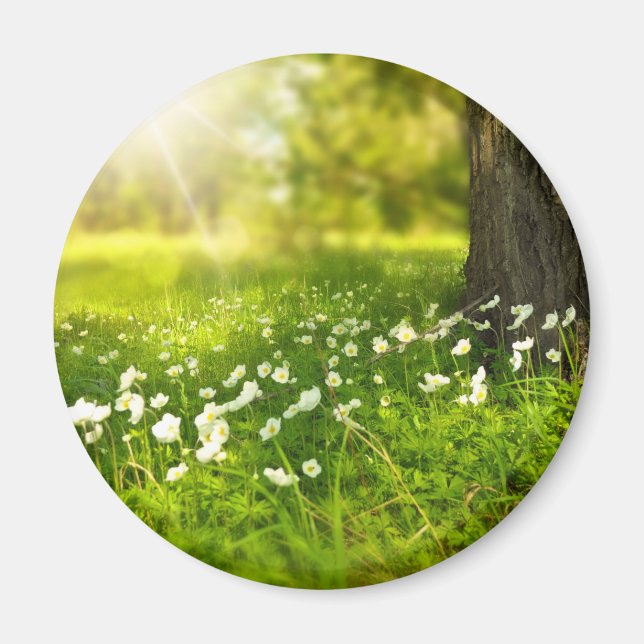 Die Freuden des Frühlings Magnet (Vorne)