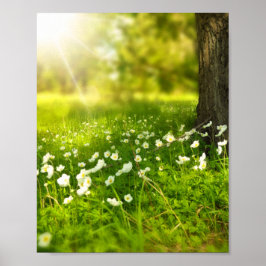 Die Freuden des Frühlings Poster