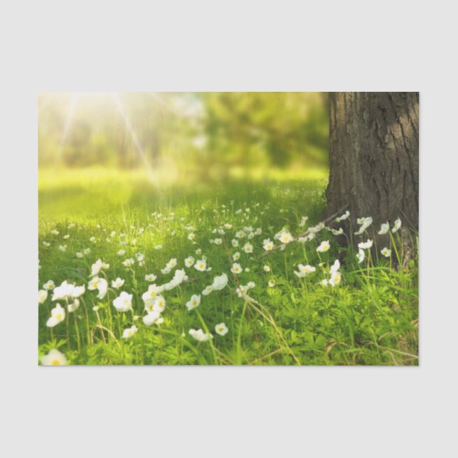 Die Freuden des Frühlings Seidenpapier (Vorderseite)