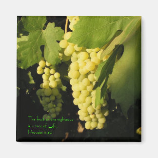 Die Frucht der Rechtschaffenen ist ein Baum von.. Magnet