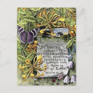 Die Frucht des Geistes Postkarte