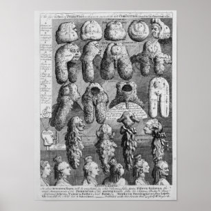 Die fünf Aufträge von Perriwigs, 1761 Poster