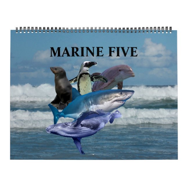 Die fünf Meere Kalender (Titelbild)