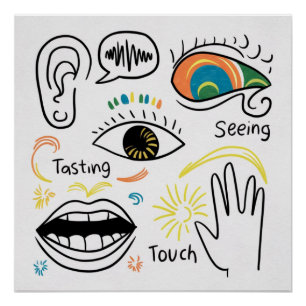 Die fünf Sinne Poster