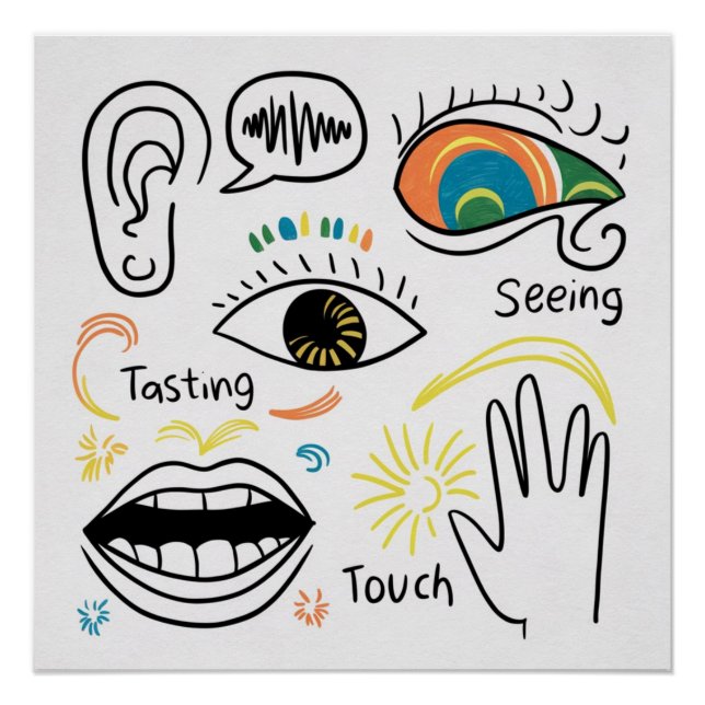 Die fünf Sinne Poster (Vorderseite)