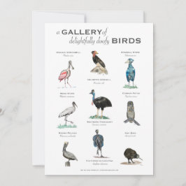 Die Galerie der bezaubernd doofy Birds 12x18 Card