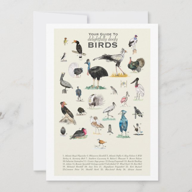 Die Galerie der bezaubernd doofy Birds 12x18 Card (Vorderseite)