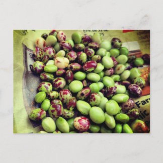 Die Gandules von der Postfarm Postkarte