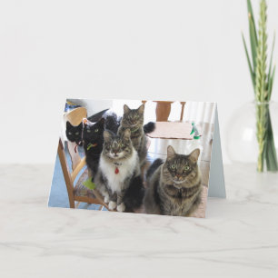 Die Gang bekommt eine gute Karte