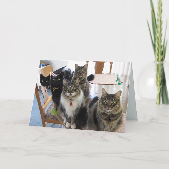 Die Gang bekommt eine gute Karte (Vorderseite)