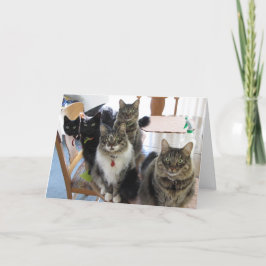 Die Gang-Cats-Abschluss-Karte Karte