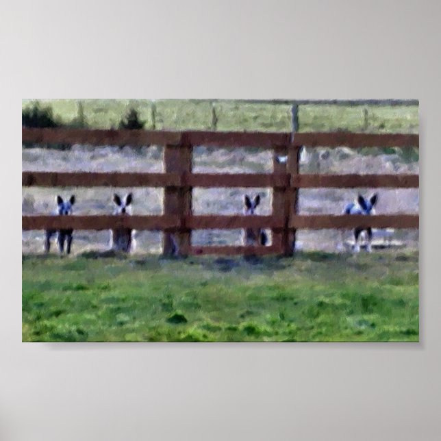 Die Gang Poster (Vorne)