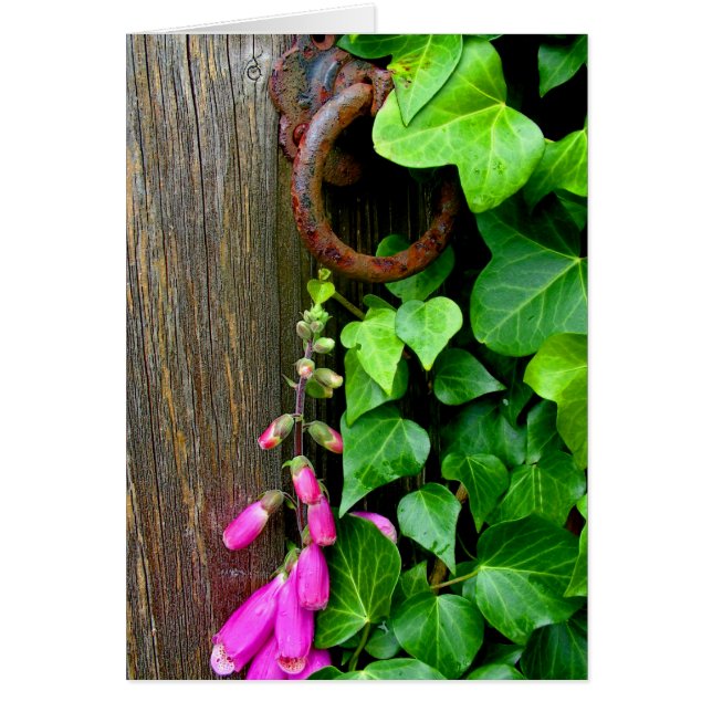 DIE GEHEIMTÜR (Vorne)