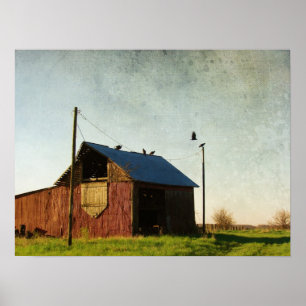 Die Geier und der Stall Poster