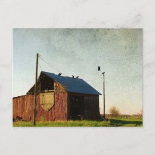 Die Geier und der Stall Postkarte